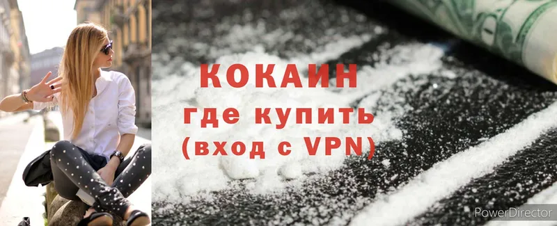 кракен tor  Дальнегорск  Cocaine Fish Scale  как найти наркотики 